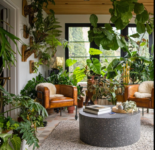Get That Jungalow Vibe Easily With Low Maintenance Plants