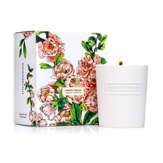 EFFLORESCENCE | 8 oz, Boxed | Handcrafted Luxury Soy Candle