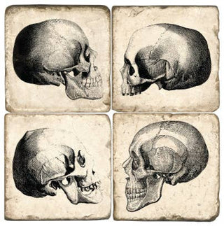 Skulls - Tumbled Marble Coasters Set/4