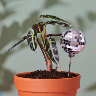 Super Groovy Disco Ball Plant Stake!