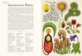 Botanicum XL Coffee Table Book - Beautiful!