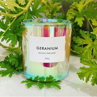 GERANIUM | 8 oz,  Boxed | Handcrafted Luxury Soy Candle