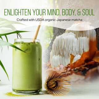 La Republica USDA Organic MATCHA with Lion's Mane