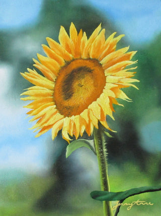 Sunflower - Original Artwork by Jenny Anne