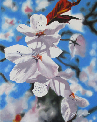 Cherry Blossoms - Original Artwork by Jenny Anne