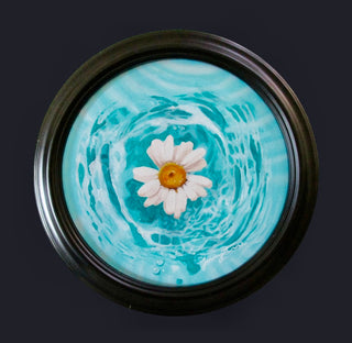 Floating Daisy - Original Artwork by Jenny Anne