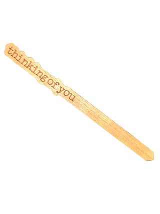 Punny Plant Stakes!