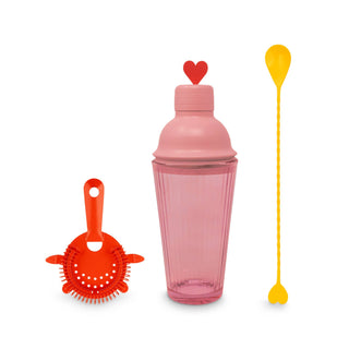 Girly Girl Cocktail Mixer Gift Box - ADORBS!!!!