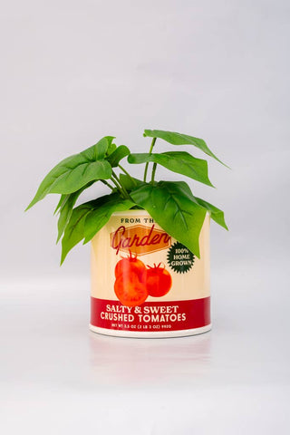 Ceramic Tomato Can Pot