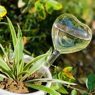 Heart-Shaped Plant Watering Stake - So ADORABLE! - Holt x Palm -  Be a good plant parent and make sure your plant babies always have water! Just fill the heart up and stick it in your little green friend for a slow release of fluids. Makes any plant happier and way cuter. Features: Unique Heart Design: Crafted from clear plastic with a charming heart shape. Self-Watering Convenience: Simplifies plant care by slowly releasing water. Versatile Display: