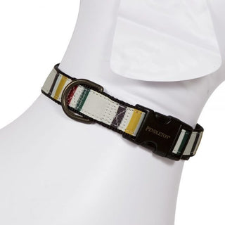 Pet Collars - Glacier by Pendleton