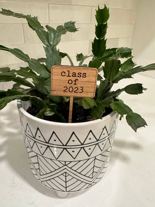 Punny Plant Stakes! - Holt x Palm -  You know your plant is missing something, so why not add a little punny touch? Our Punny Plant Stakes are the perfect way to show your quirky side to your plant! Crafted from cherry wood and engraved with a witty message, these stakes will bring plenty of humor to your house plant!