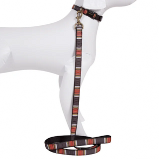 Pet Leash - Acadia by Pendleton - Holt x Palm -  Spoil your pet with this awesome Pendleton pet leash! From their national park collection, this is a great fashion statement for your pet PLUS your beloved pet will love it! Great for your outdoor travel or everyday use and you are guaranteed to be the talk of Yellowstone with this one! 1 x 6 feet Grosgrain ribbon on nylon webbing Self loop handle Antique brass clip & hardware Made in USA