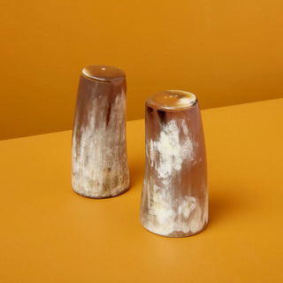 Horn Salt & Pepper Set, Large