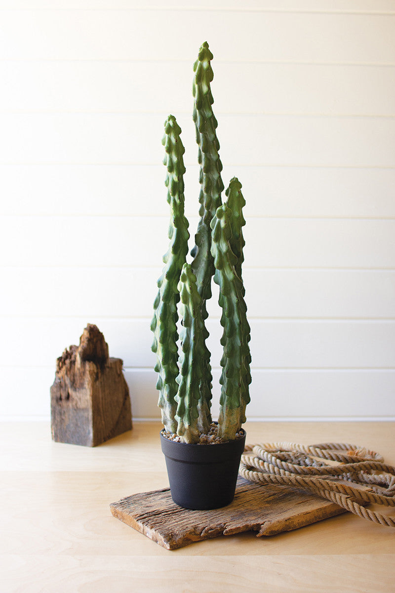 Faux cactus discount