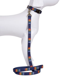 Pet Leash - Crater Lake by Pendleton - Holt x Palm -  Spoil your pet with this awesome Pendleton pet leash! From their national park collection, this is a great fashion statement for your pet PLUS your beloved pet will love it! Great for your outdoor travel or everyday use and you are guaranteed to be the talk of Yellowstone with this one! 1 x 6 feet Grosgrain ribbon on nylon webbing Self loop handle Antique brass clip & hardware Made in USA