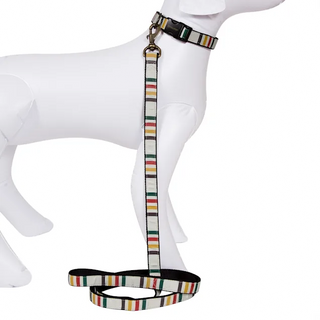 Pet Leash - Glacier by Pendleton - Holt x Palm -  Spoil your pet with this awesome Pendleton pet leash! From their national park collection, this is a great fashion statement for your pet PLUS your beloved pet will love it! Great for your outdoor travel or everyday use and you are guaranteed to be the talk of Yellowstone with this one! 1 x 6 feet Grosgrain ribbon on nylon webbing Self loop handle Antique brass clip & hardware Made in USA