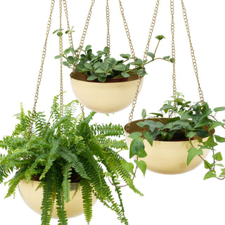 Gold Hanging Planter